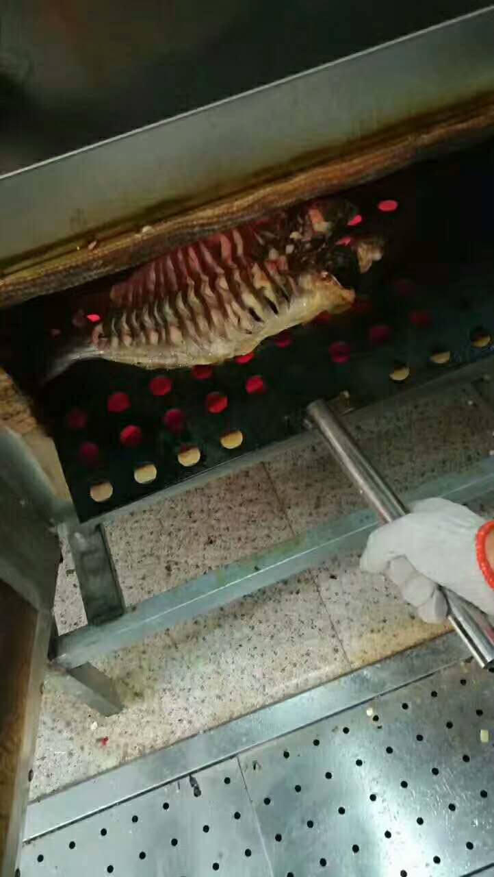 烤魚 烤魚